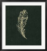 Framed Golden Feather I