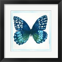 Framed Butterfly I