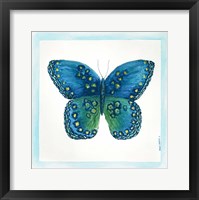 Framed Butterfly III