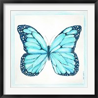 Framed Butterfly IV