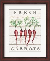 Framed Fresh Carrots