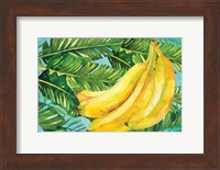 Framed Bananas I