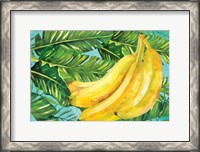 Framed Bananas I