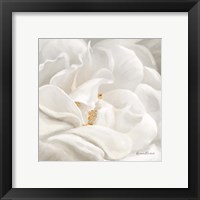 Framed 'Neutral Rose No. 1' border=