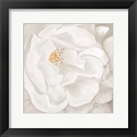 Framed Neutral Rose No. 2