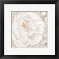 Framed 'Neutral Rose No. 2' border=