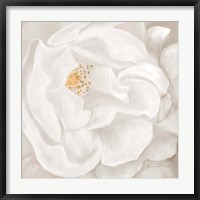 Framed Neutral Rose No. 2