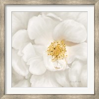 Framed Neutral Rose No. 4