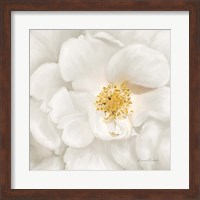Framed Neutral Rose No. 4