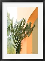 Framed Tropical Dream V