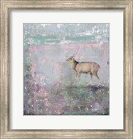 Framed Grey Deer