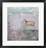 Framed Grey Deer