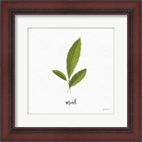 Framed 'Herbs VII White' border=