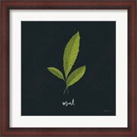 Framed Herbs VII Black