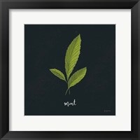 Framed 'Herbs VII Black' border=