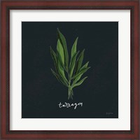 Framed Herbs V Black