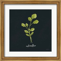 Framed Herbs IV Black