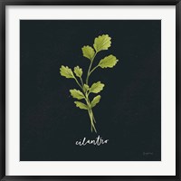 Framed Herbs IV Black