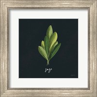 Framed Herbs II Black