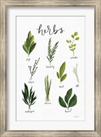 Framed Herbs I White