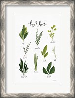 Framed Herbs I White