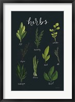 Framed Herbs I Black