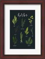 Framed Herbs I Black