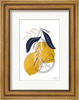 Framed Lemons II