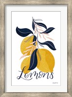 Framed Lemons I