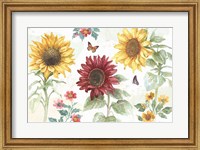 Framed Sunflower Splendor IV