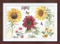 Framed Sunflower Splendor IV