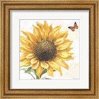 Framed Sunflower Splendor IX