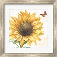 Framed 'Sunflower Splendor IX' border=