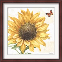 Framed Sunflower Splendor IX