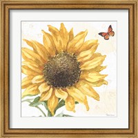 Framed Sunflower Splendor IX