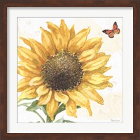 Framed 'Sunflower Splendor IX' border=