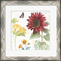 Framed Sunflower Splendor VI