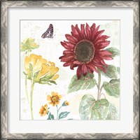 Framed Sunflower Splendor VI