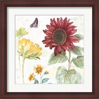 Framed Sunflower Splendor VI