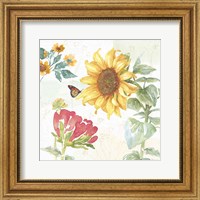 Framed 'Sunflower Splendor VIII' border=