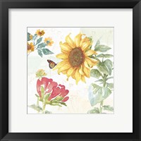 Framed 'Sunflower Splendor VIII' border=