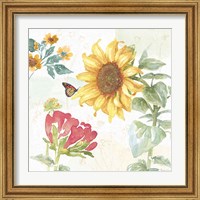 Framed 'Sunflower Splendor VIII' border=