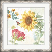 Framed Sunflower Splendor VIII