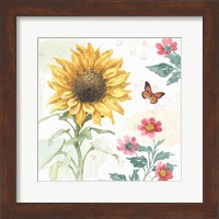Framed 'Sunflower Splendor V' border=