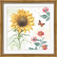 Framed Sunflower Splendor V