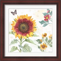 Framed 'Sunflower Splendor VII' border=