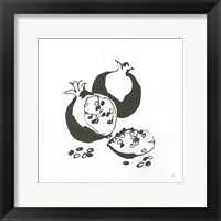 Framed 'Pomegranate II BW' border=