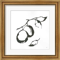 Framed 'Plums I BW' border=