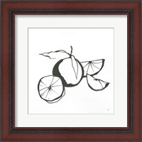 Framed Oranges BW