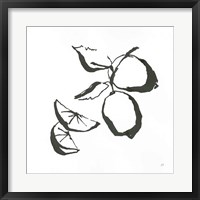 Framed 'Limes BW' border=